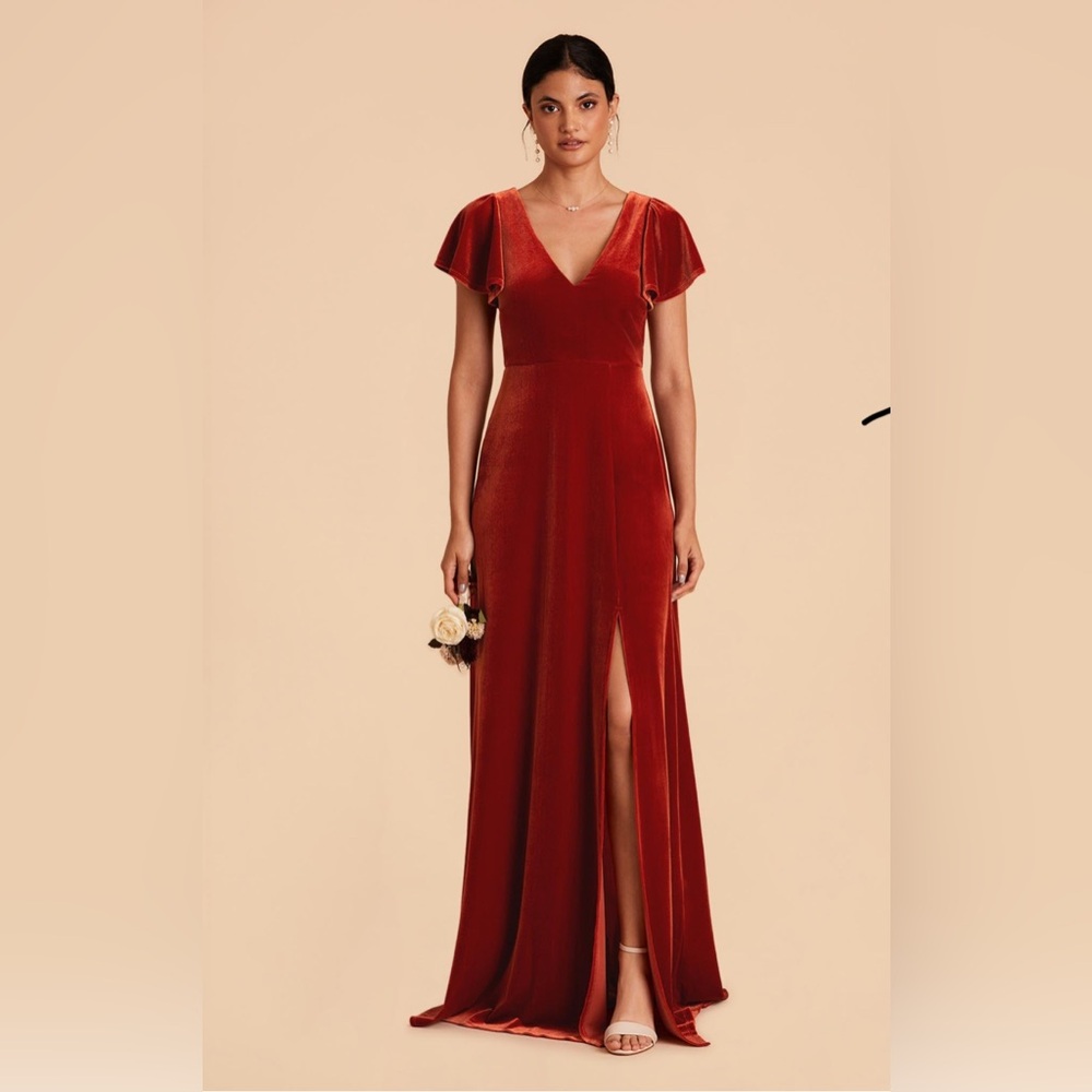 Birdy Greg Hannah Velvet Dress - Burnt Orange
